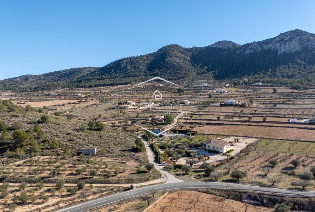 Herverkoop - Finca -
La Zarza