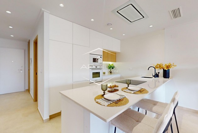 New Build - Apartment - Penthouse -
Guardamar del Segura - El Raso