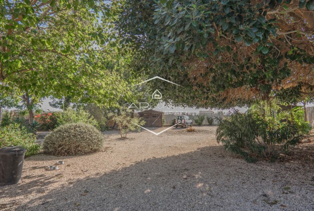 Revente - Finca -
Orihuela - San Bartolome
