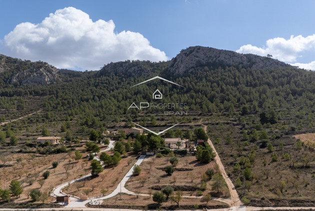 Revente - Villa - Indépendante -
La Zarza