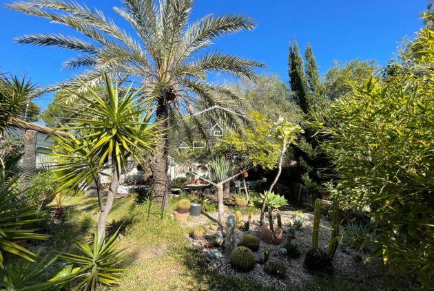 Resale - Villa - Detached -
Orihuela Costa - Lomas De Cabo Roig