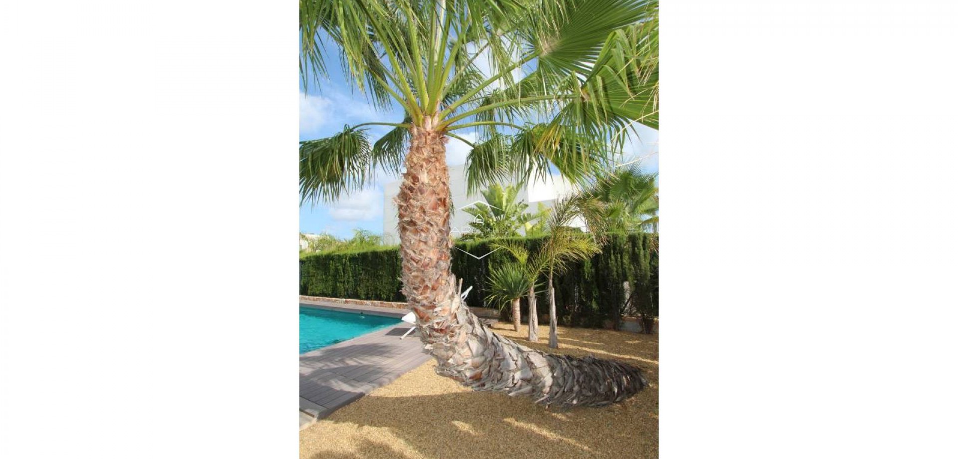 Resale - Villa - Detached -
Rojales - Ciudad Quesada