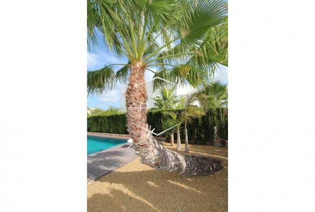 Resale - Villa - Detached -
Rojales - Ciudad Quesada
