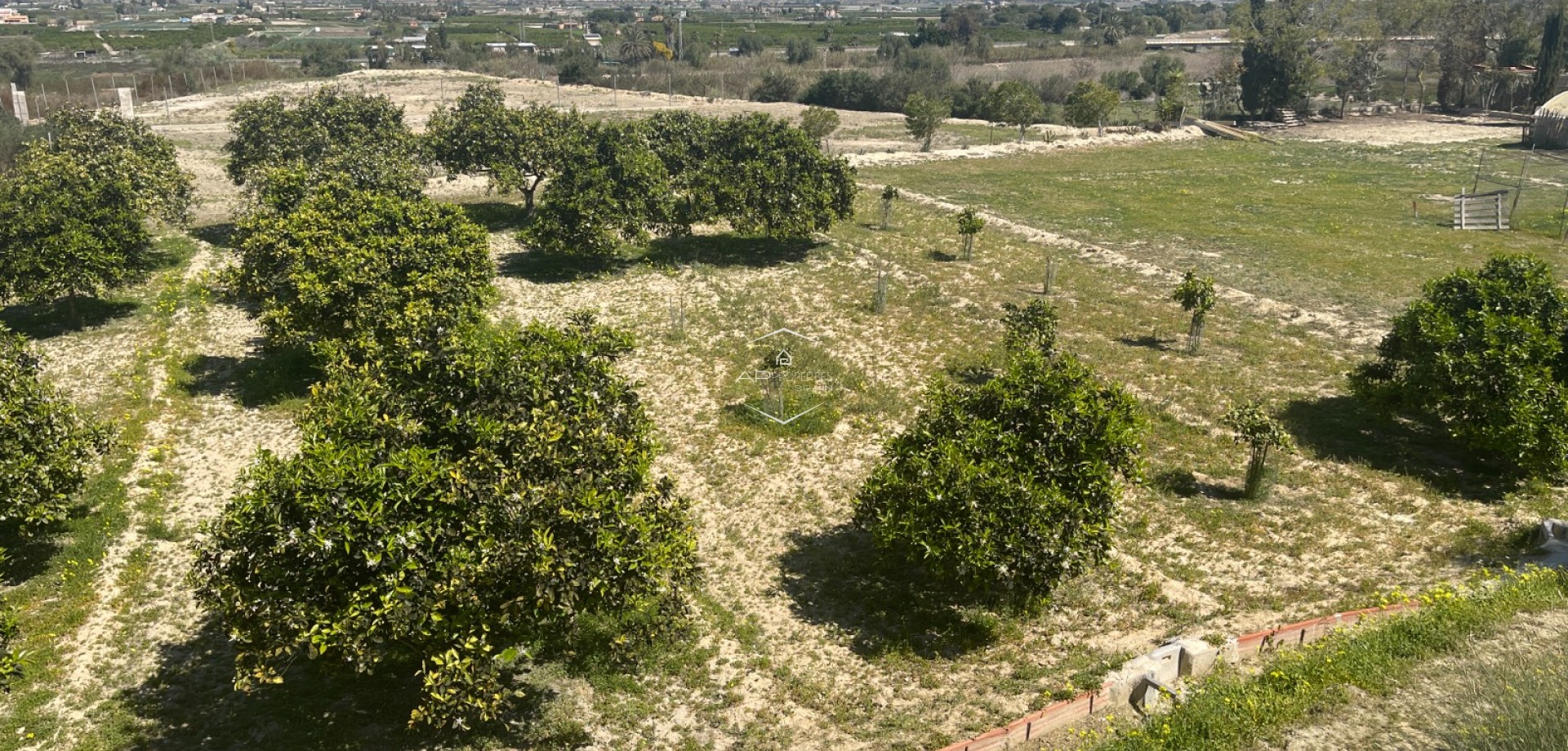 Resale - Villa - Detached -
Guardamar del Segura - Valencian Community