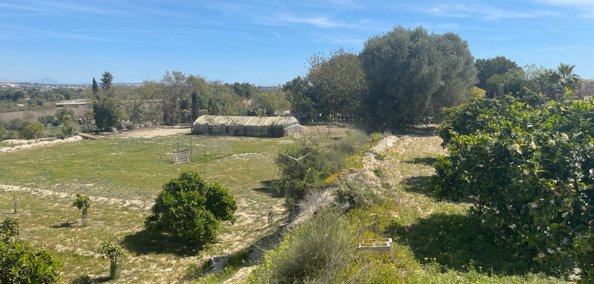 Resale - Villa - Detached -
Guardamar del Segura - Valencian Community
