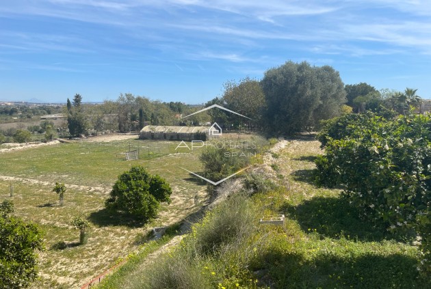Resale - Villa - Detached -
Guardamar del Segura - Valencian Community
