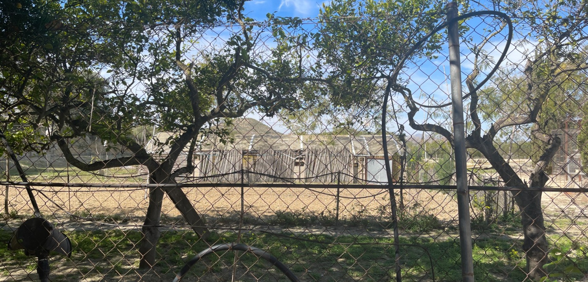 Resale - Villa - Detached -
Guardamar del Segura - Valencian Community