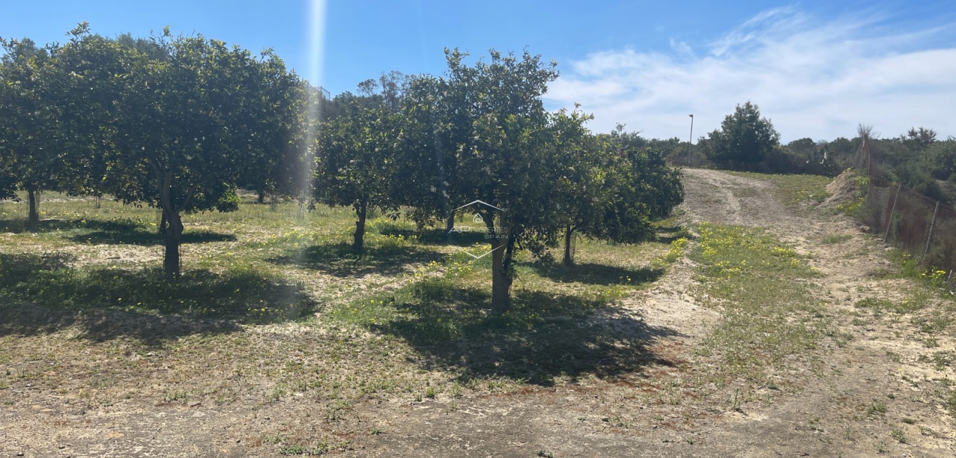 Resale - Villa - Detached -
Guardamar del Segura - Valencian Community