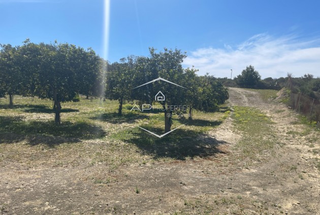 Resale - Villa - Detached -
Guardamar del Segura - Valencian Community