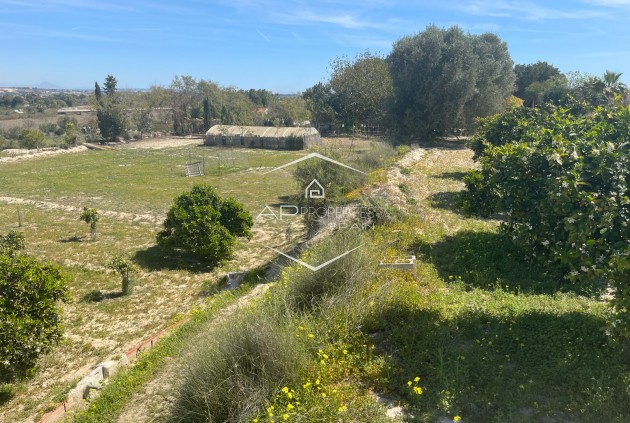 Resale - Villa - Detached -
Guardamar del Segura - Valencian Community
