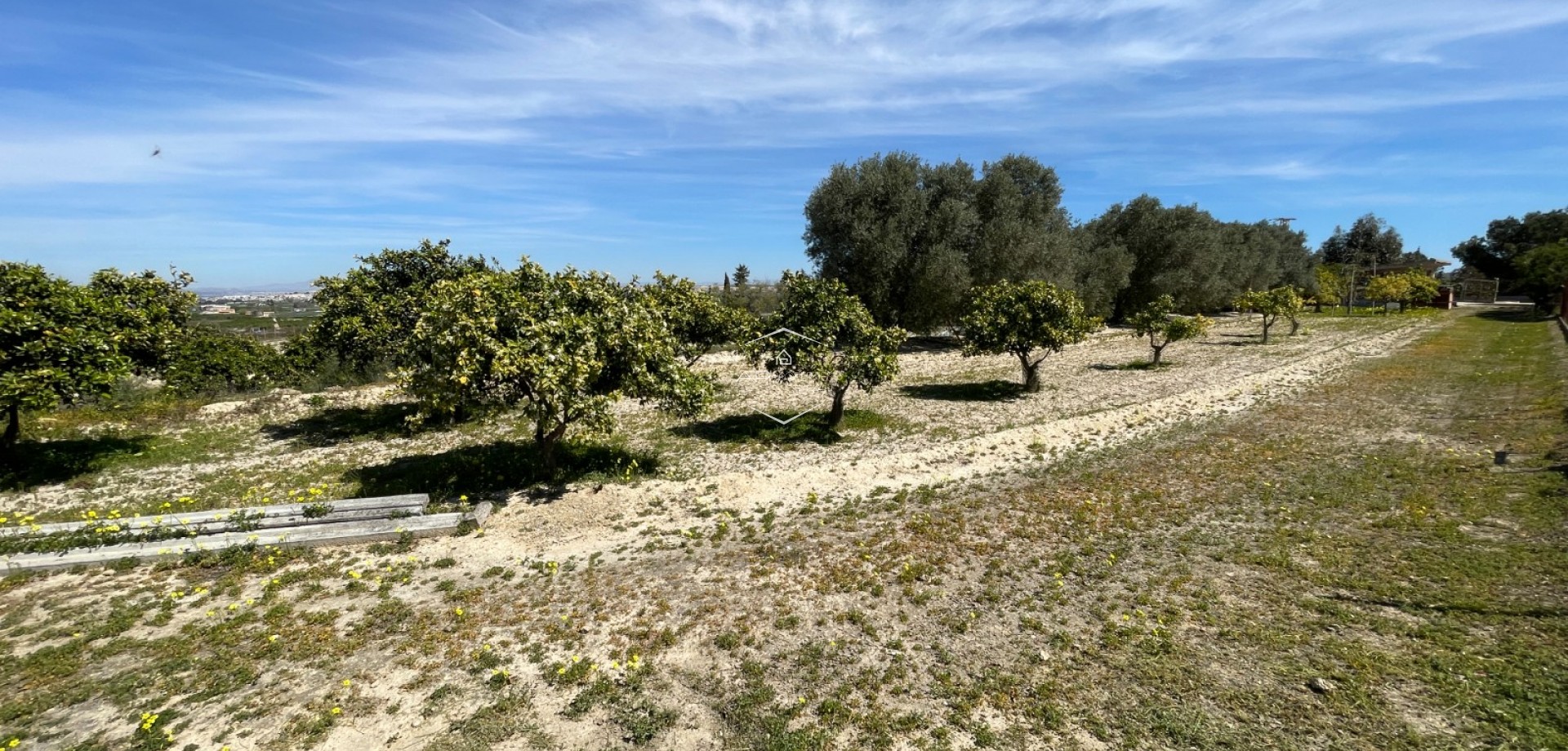 Resale - Villa - Detached -
Guardamar del Segura - Valencian Community