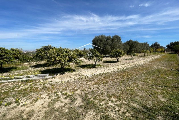 Resale - Villa - Detached -
Guardamar del Segura - Valencian Community