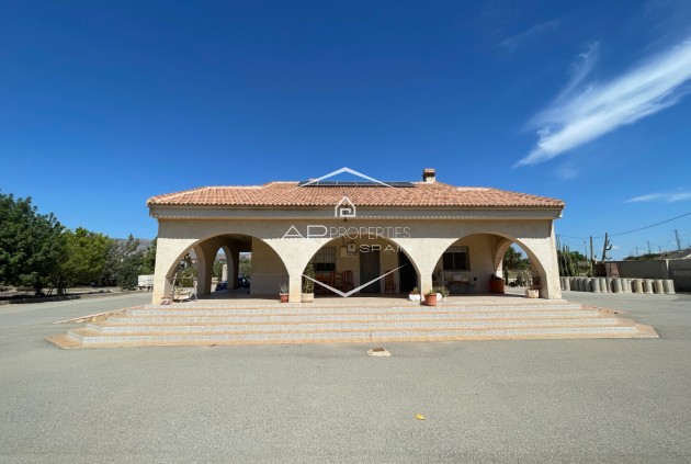 Reventa - Villa - Independiente -
Crevillente
