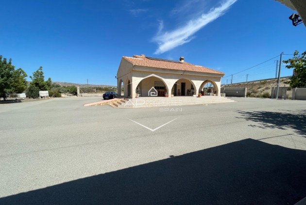 Reventa - Villa - Independiente -
Crevillente