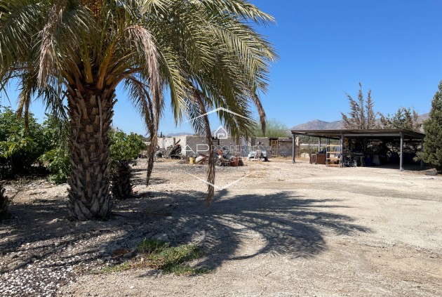 Reventa - Villa - Independiente -
Crevillente