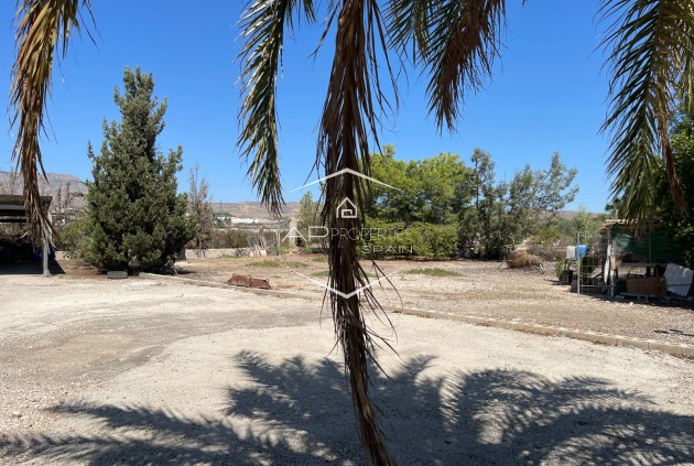 Reventa - Villa - Independiente -
Crevillente