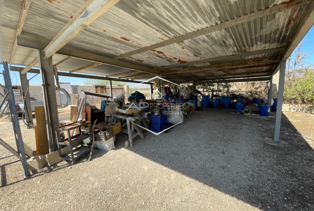 Reventa - Villa - Independiente -
Crevillente