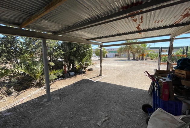 Reventa - Villa - Independiente -
Crevillente