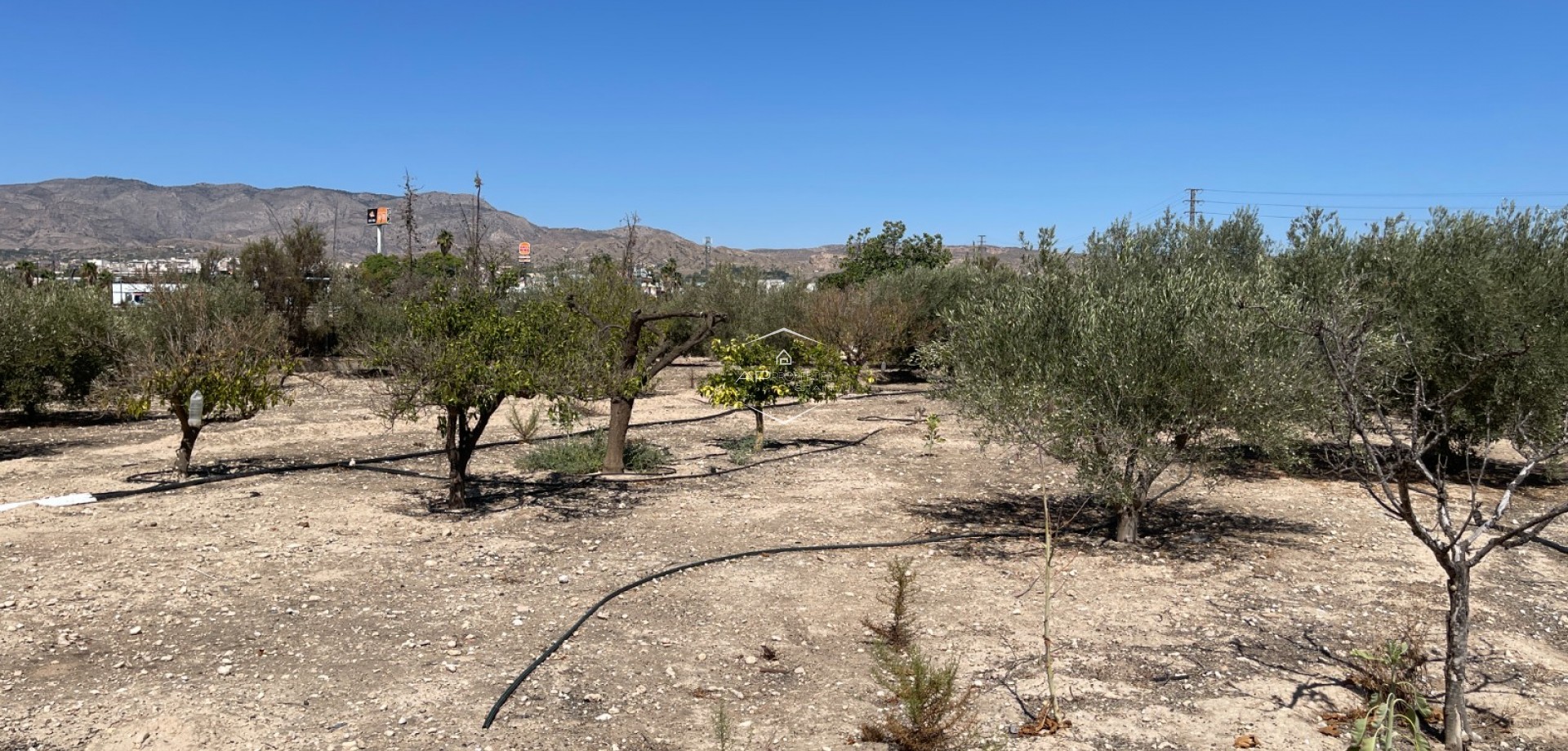 Reventa - Villa - Independiente -
Crevillente