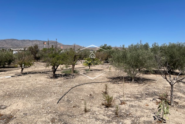 Reventa - Villa - Independiente -
Crevillente
