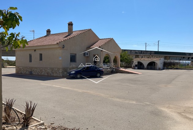 Reventa - Villa - Independiente -
Crevillente