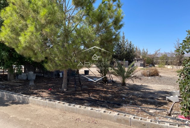 Reventa - Villa - Independiente -
Crevillente