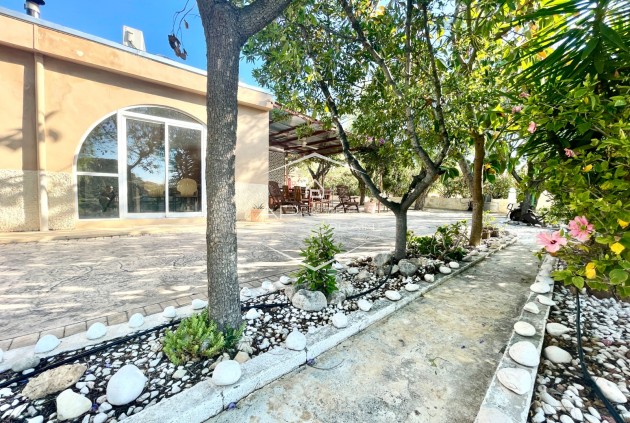 Resale - Finca / Country Property -
Crevillente