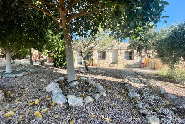 Resale - Finca / Country Property -
Crevillente