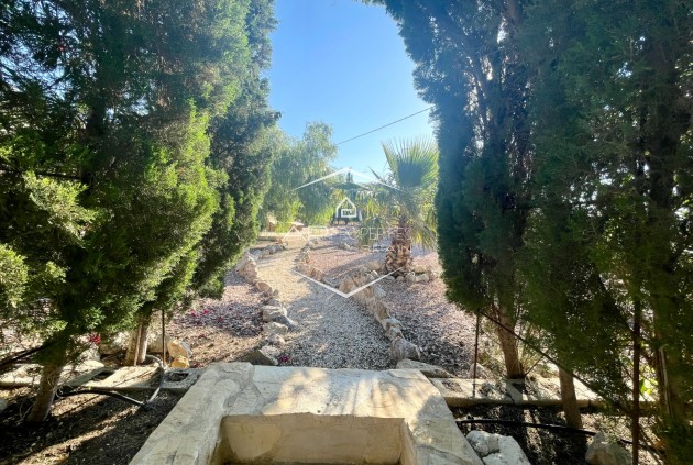 Resale - Finca / Country Property -
Crevillente