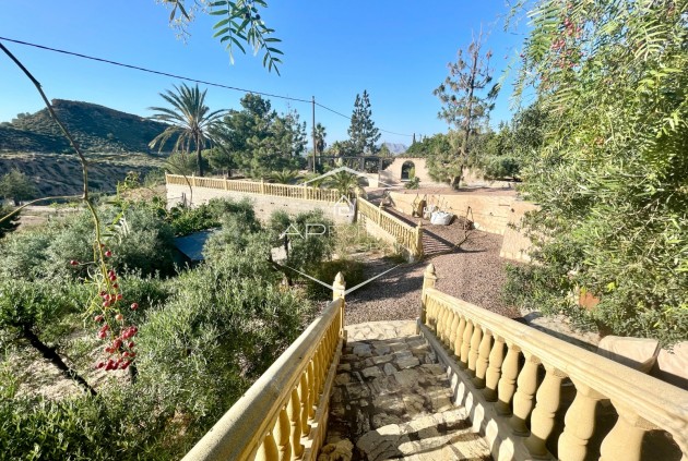 Resale - Finca / Country Property -
Crevillente