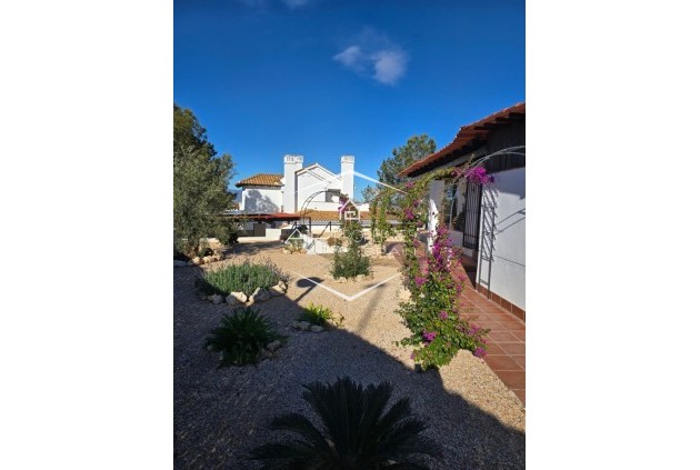 Reventa - Villa - Independiente -
Fuente Alamo - Las Palas