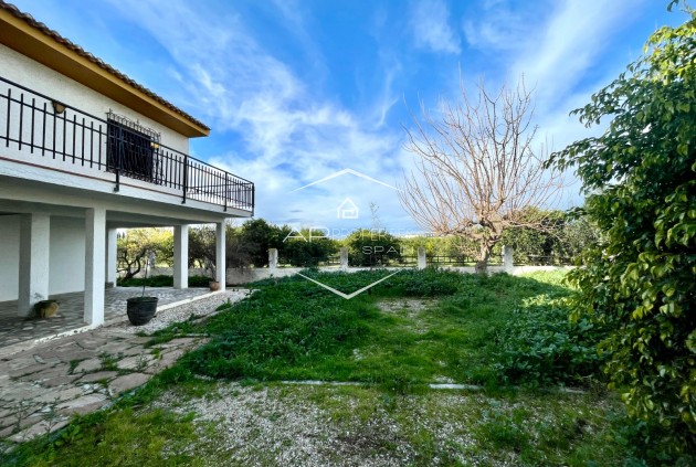 Resale - Villa - Detached -
Benejuzar - Comunidad Valenciana