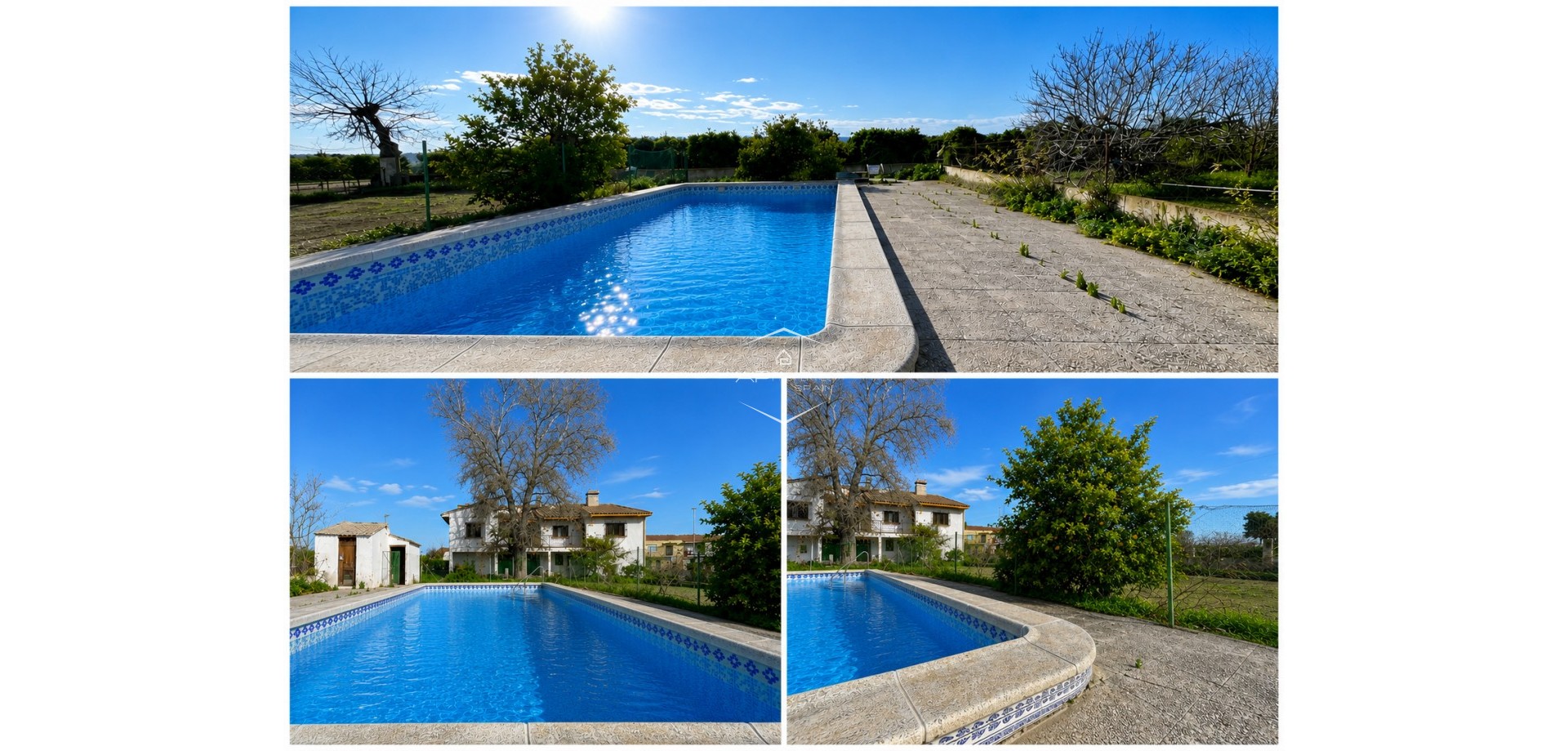 Resale - Villa - Detached -
Benejuzar - Comunidad Valenciana