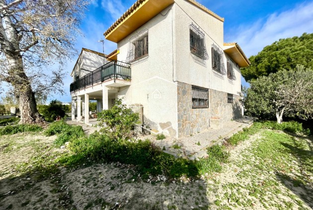 Resale - Villa - Detached -
Benejuzar - Comunidad Valenciana