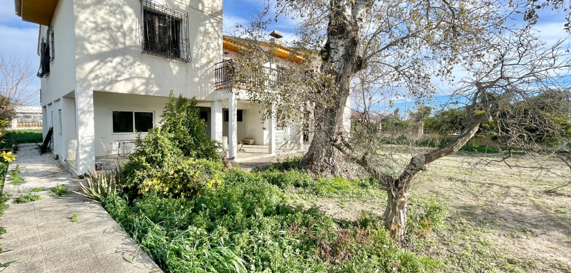 Resale - Villa - Detached -
Benejuzar - Comunidad Valenciana