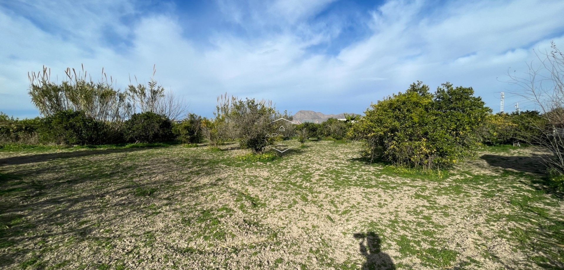 Resale - Villa - Detached -
Benejuzar - Comunidad Valenciana