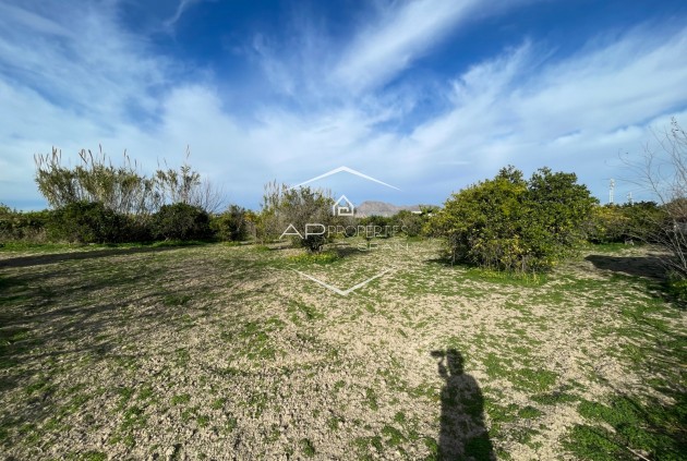Resale - Villa - Detached -
Benejuzar - Comunidad Valenciana