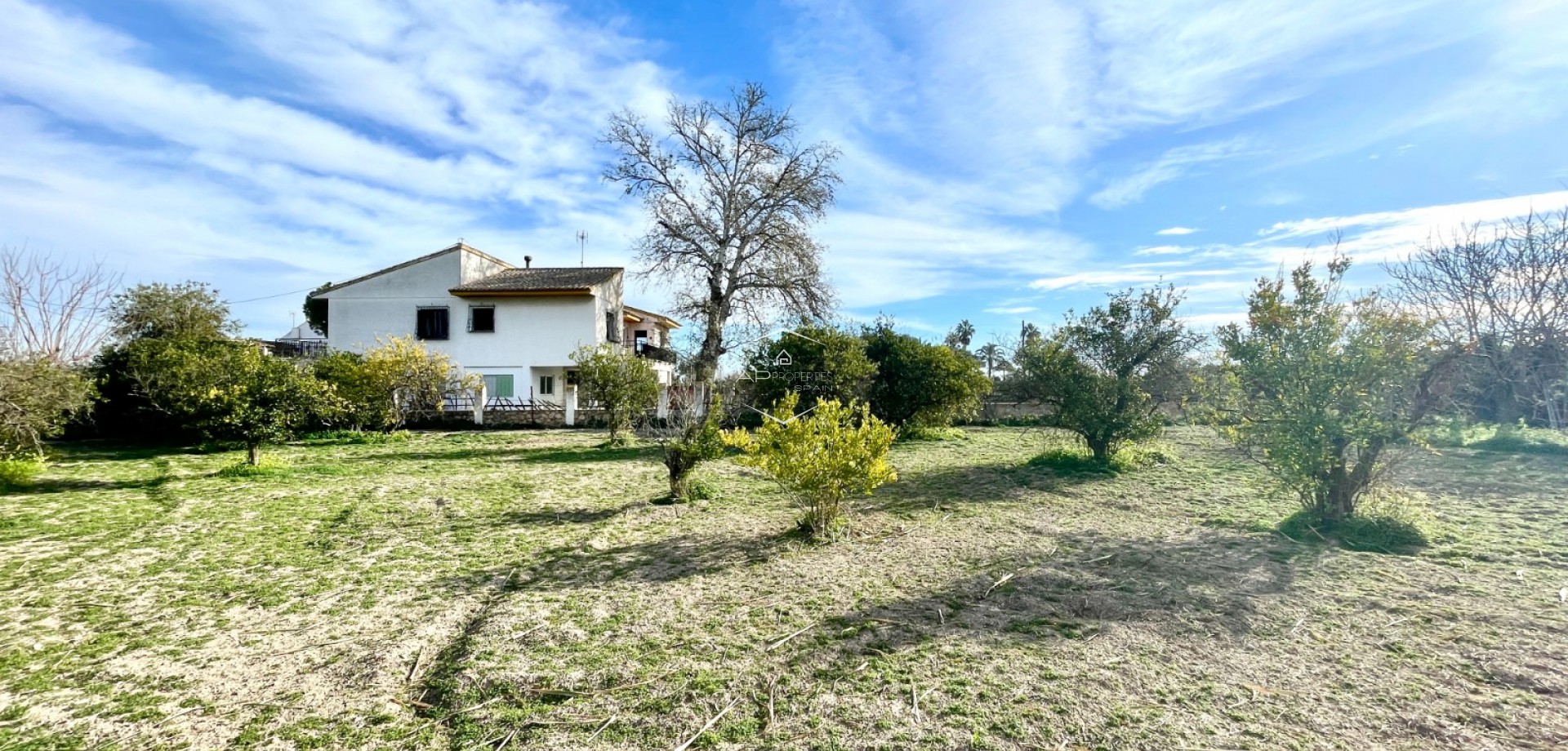 Resale - Villa - Detached -
Benejuzar - Comunidad Valenciana