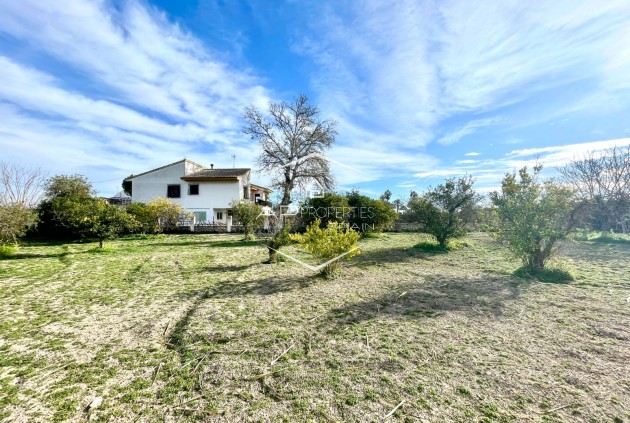 Resale - Villa - Detached -
Benejuzar - Comunidad Valenciana