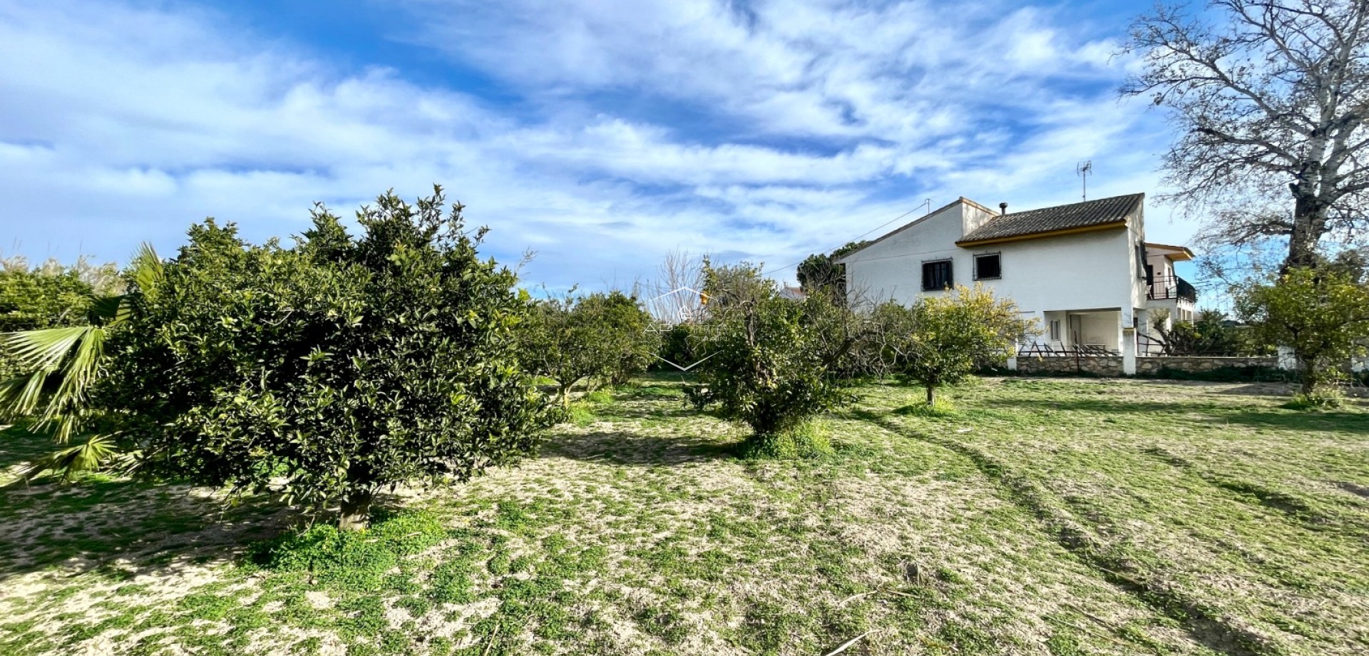 Resale - Villa - Detached -
Benejuzar - Comunidad Valenciana