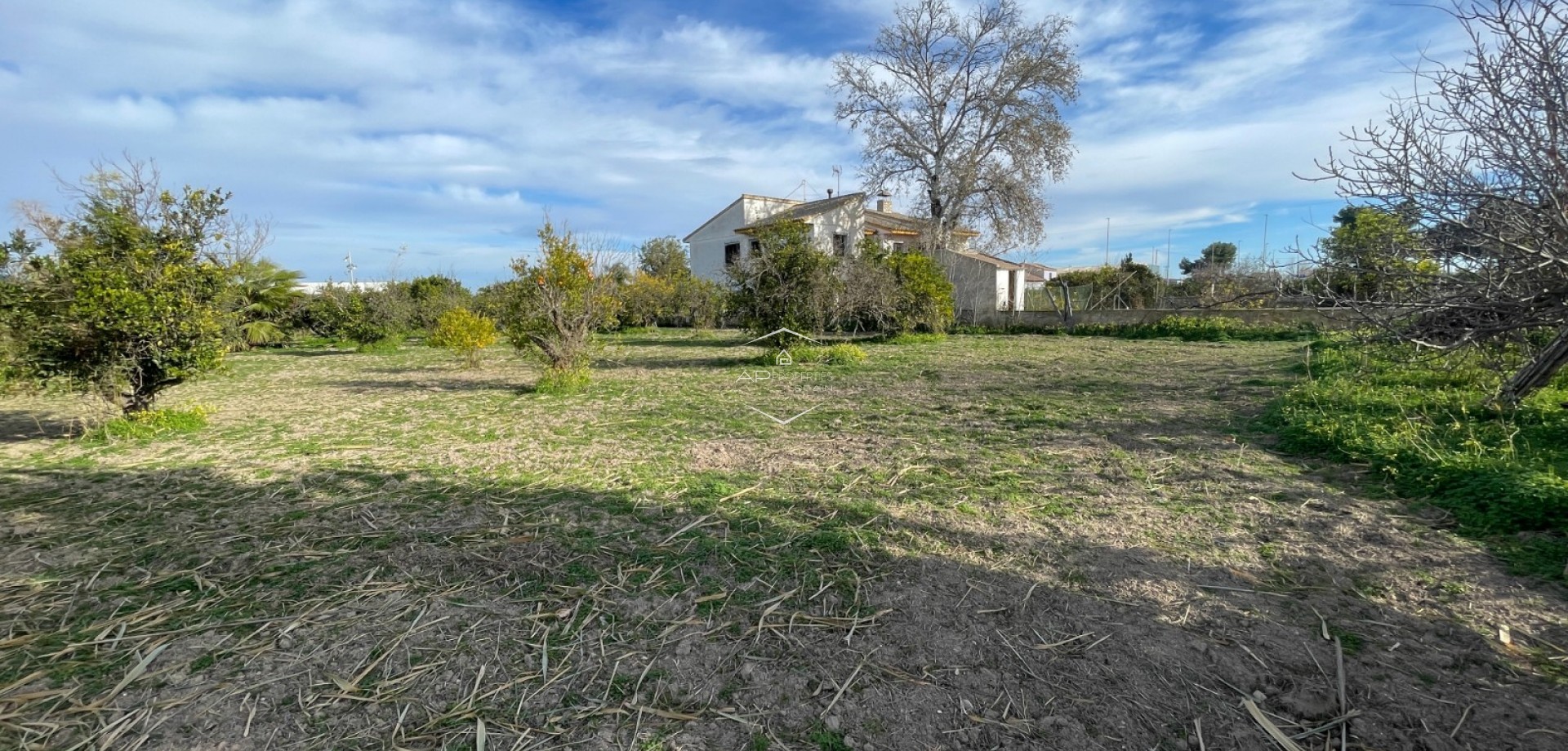 Resale - Villa - Detached -
Benejuzar - Comunidad Valenciana