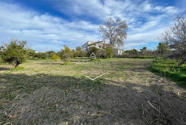 Resale - Villa - Detached -
Benejuzar - Comunidad Valenciana
