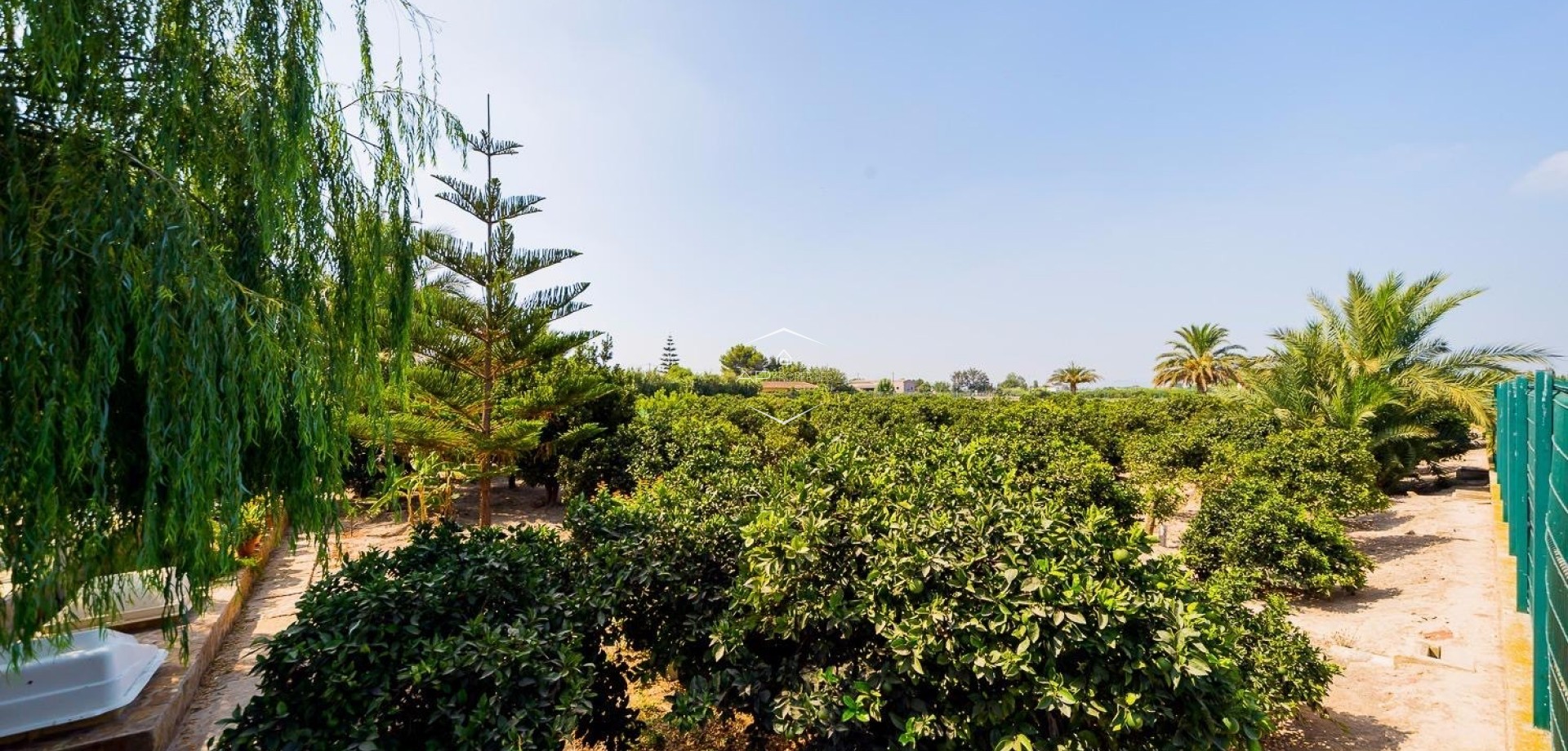 Reventa - Finca / Propiedad rural -
Almoradí - Almoradi