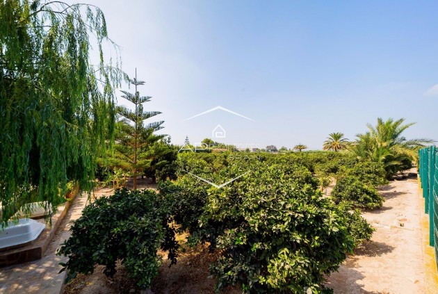 Reventa - Finca / Propiedad rural -
Almoradí - Almoradi
