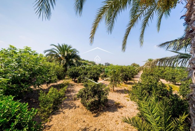 Reventa - Finca / Propiedad rural -
Almoradí - Almoradi