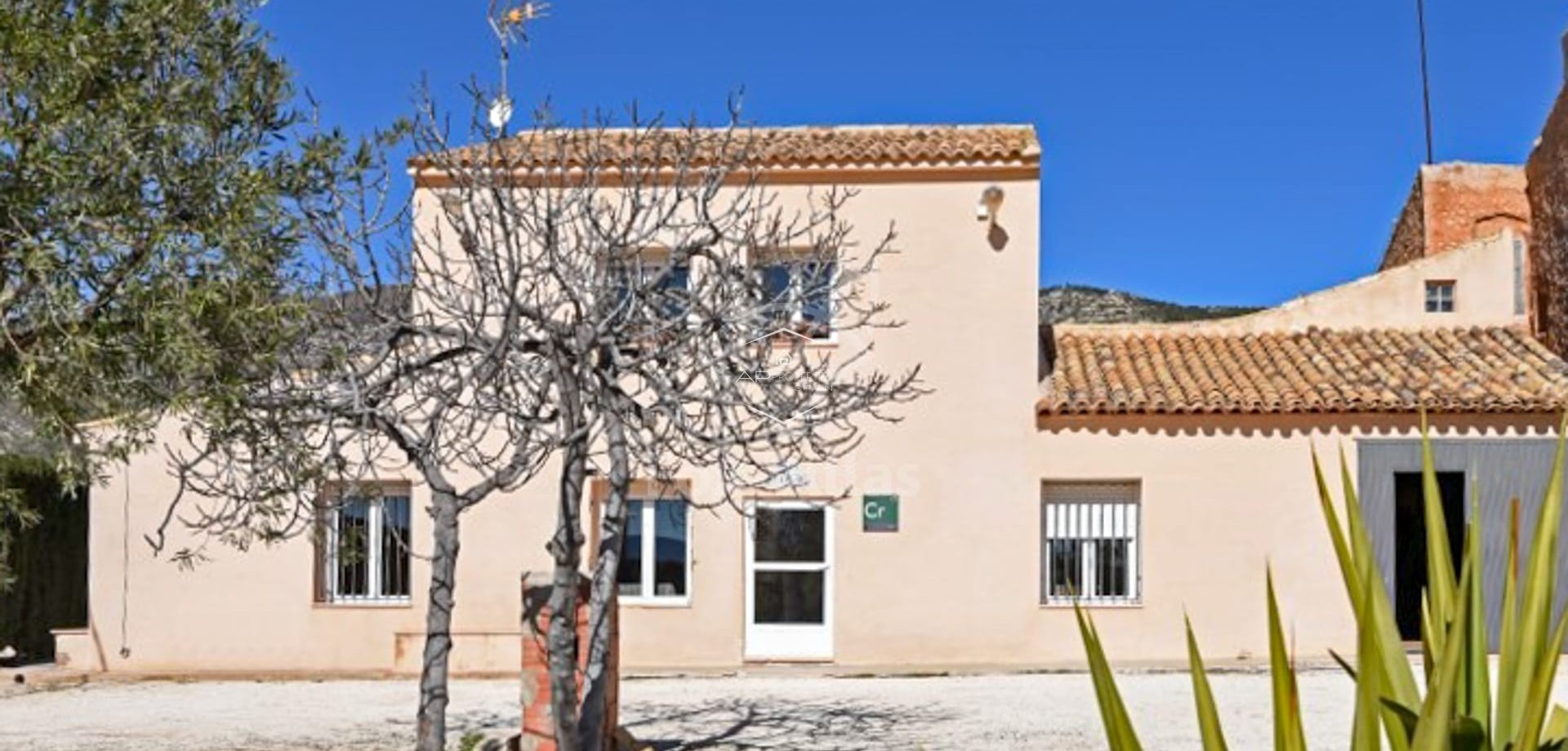 Resale - Villa - Detached -
La Alberquilla