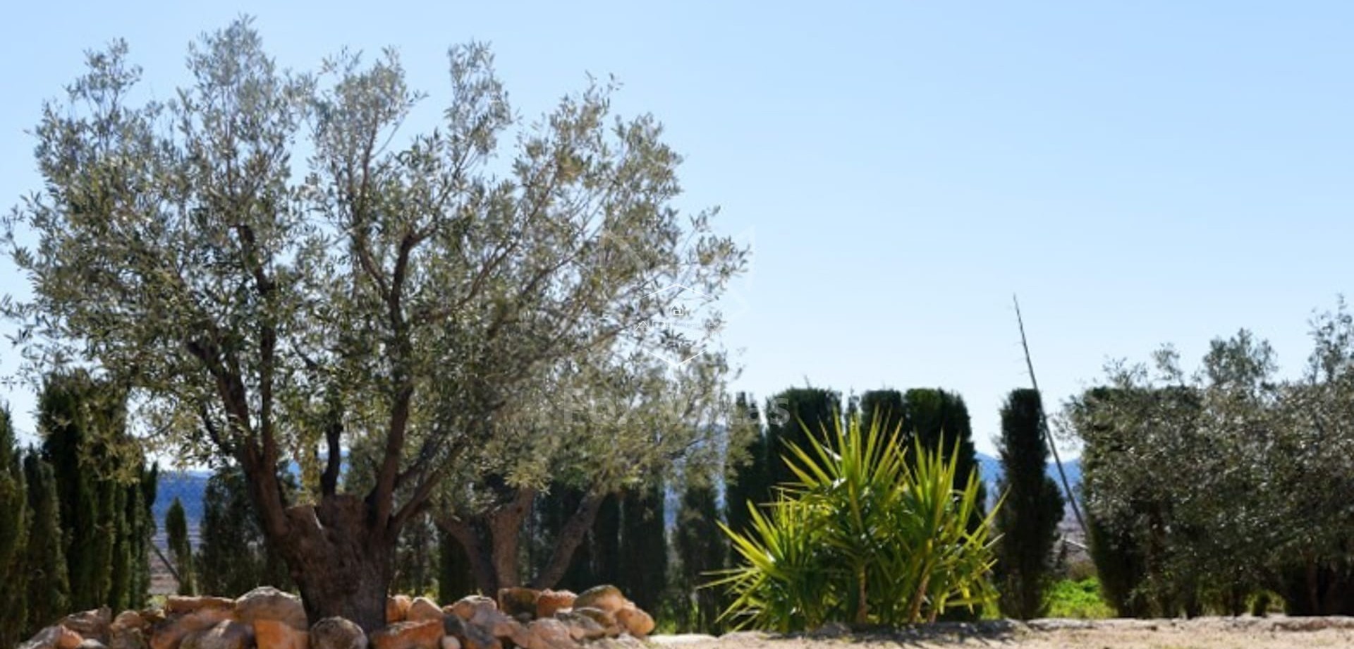 Resale - Villa - Detached -
La Alberquilla