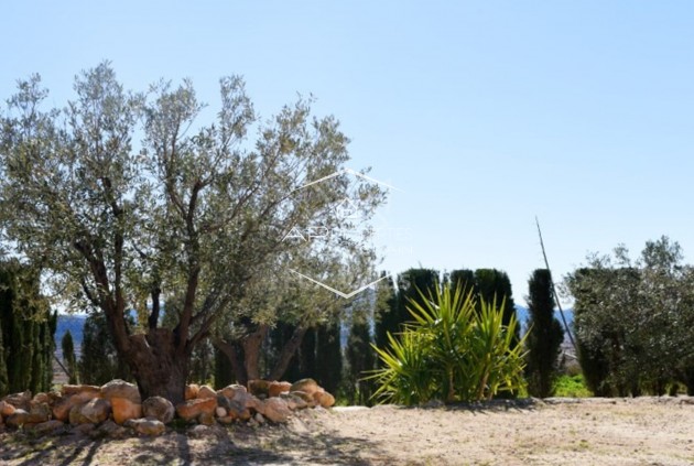 Resale - Villa - Detached -
La Alberquilla