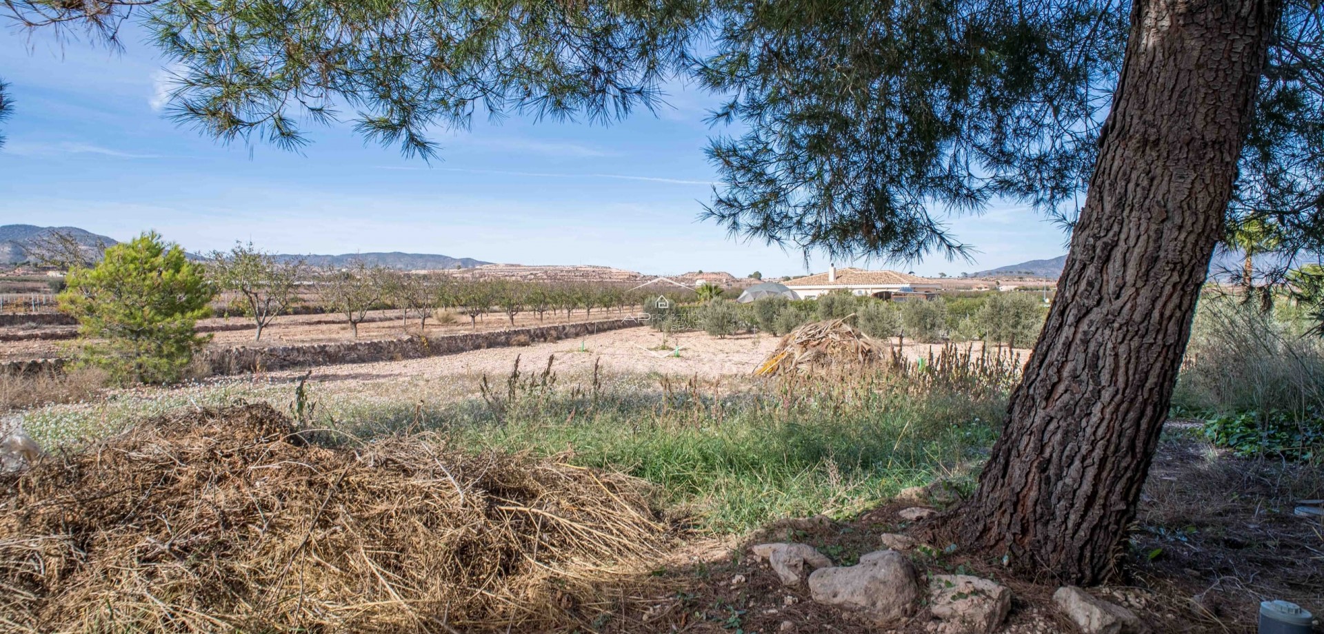 Reventa - Adosado -
Casas Pastor