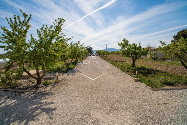 Resale - Villa - Detached -
Lel